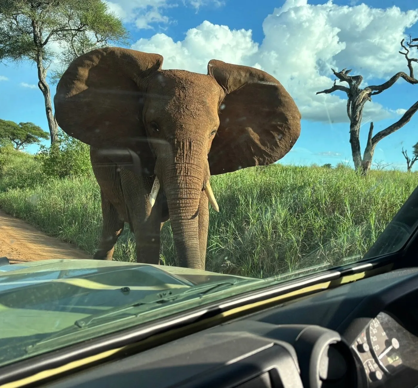 Things to Do in Tanzania