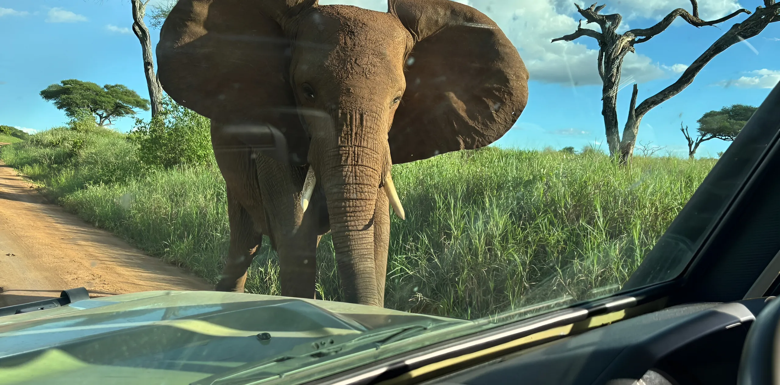 Meaningful Things to Do in Tanzania for Travellers Who Care