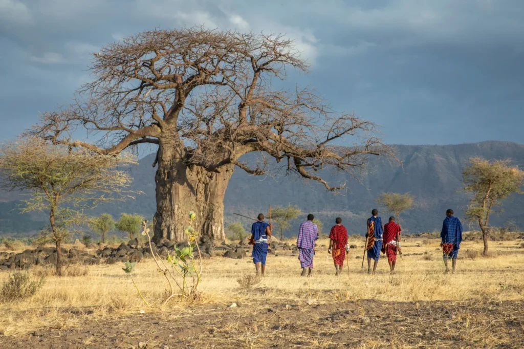 Things To Do In Tanzania