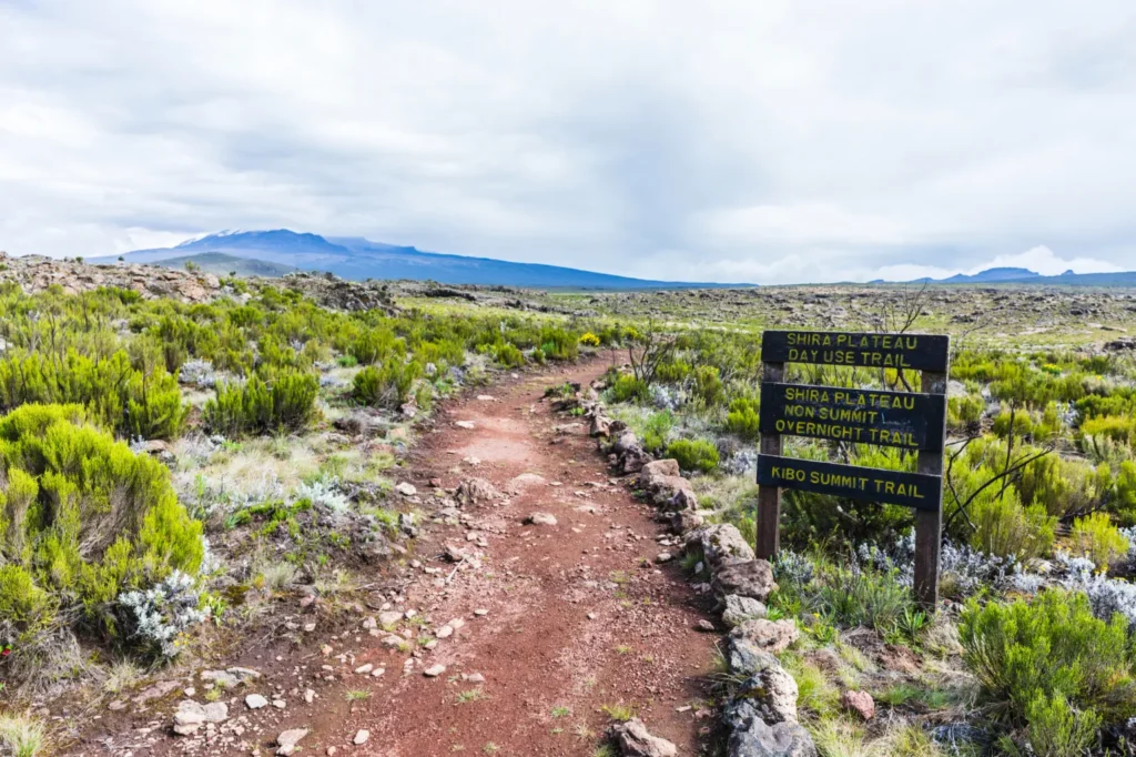 Shira Plateau