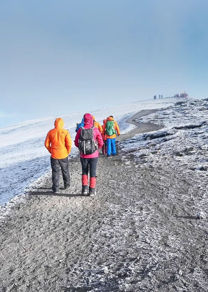 Lemosho Route Kilimanjaro