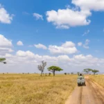 Best Serengeti Safari Tours