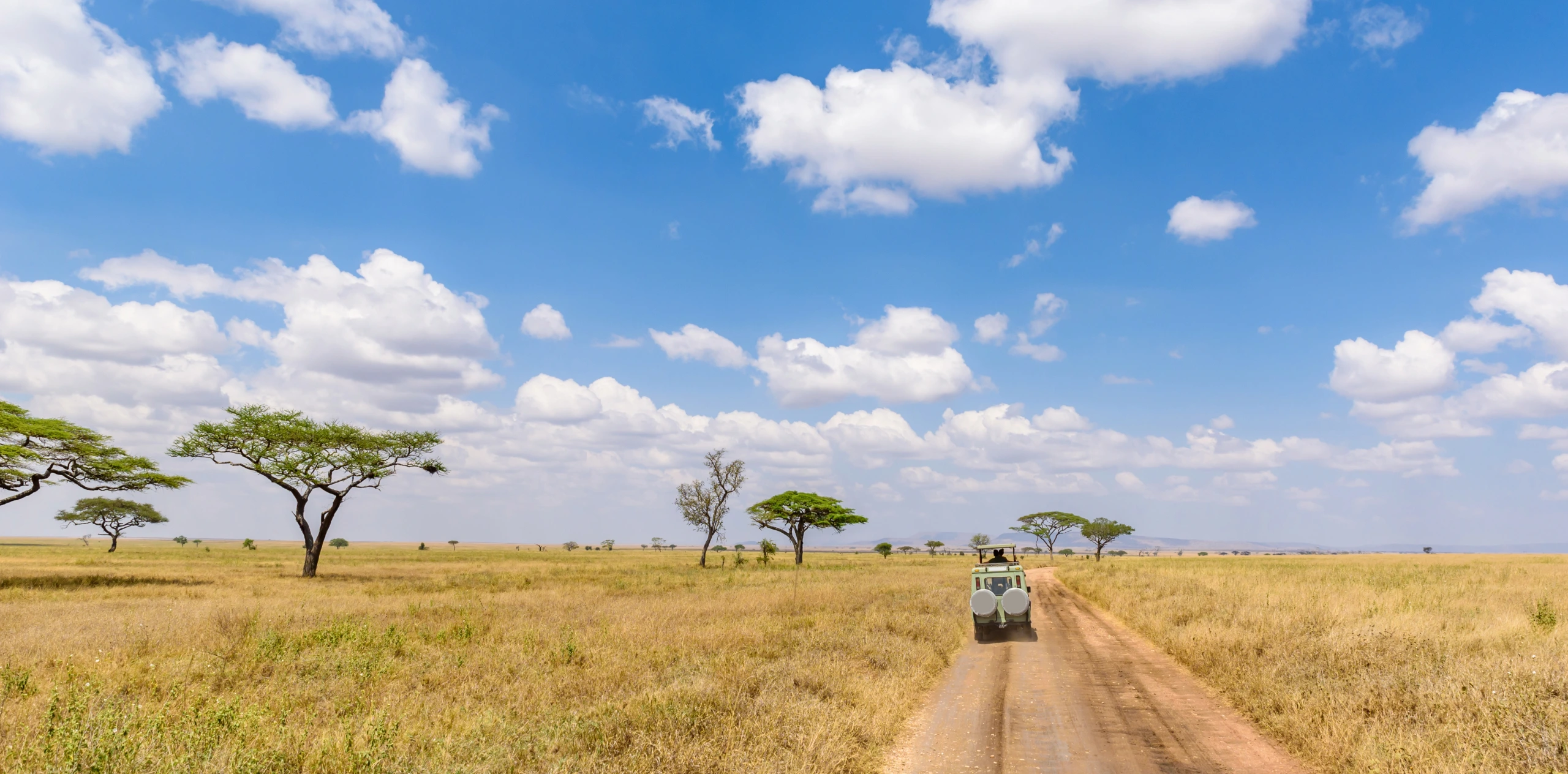 6 Expert Tips To Calculate Your Tanzania Safari Cost Per Day & Per Person