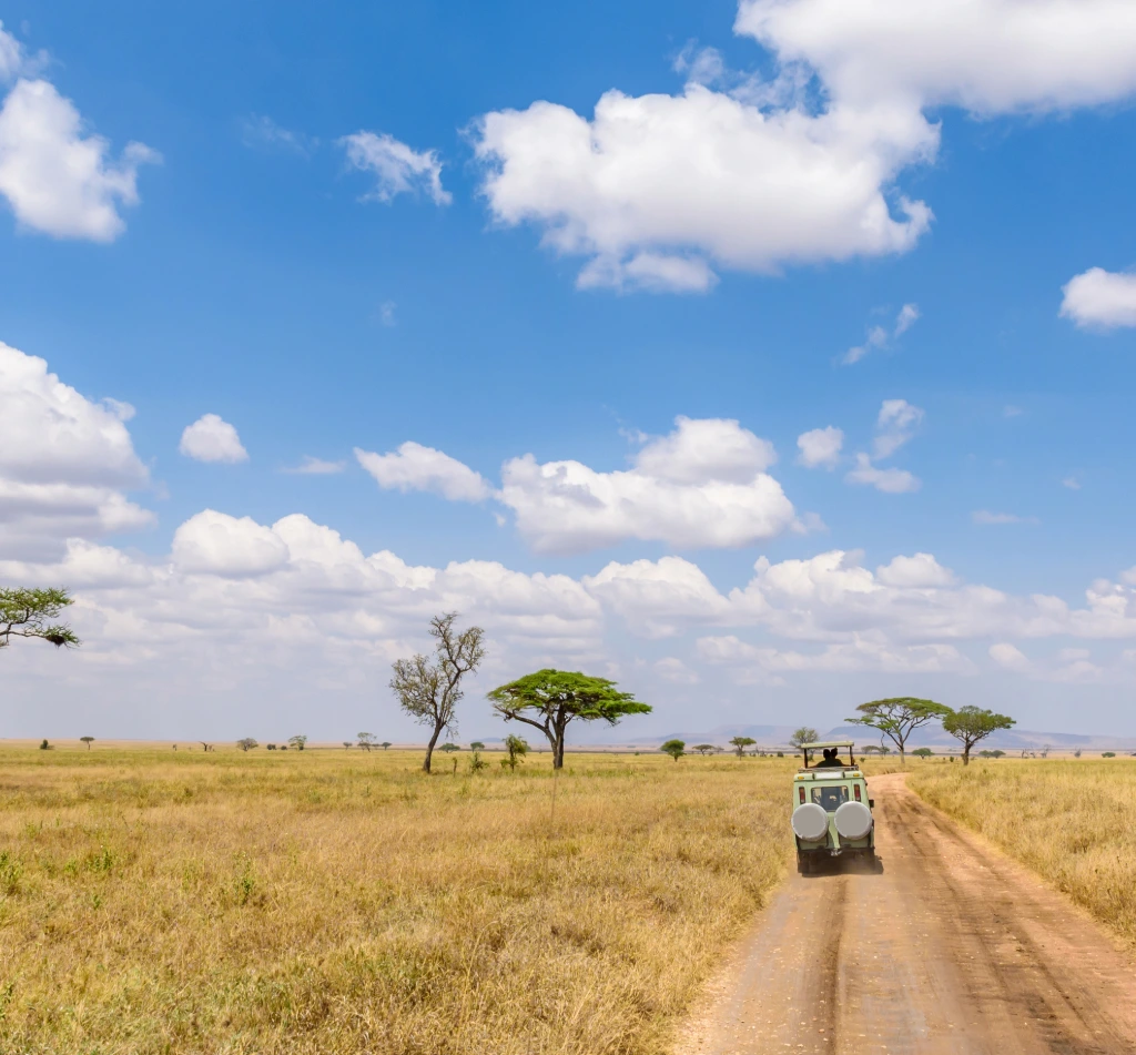 Serengeti Tours & Safaris