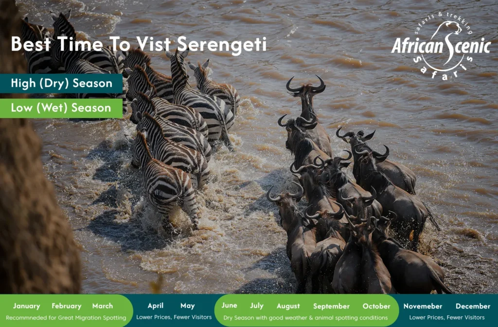 Best Time to See the Great Migration