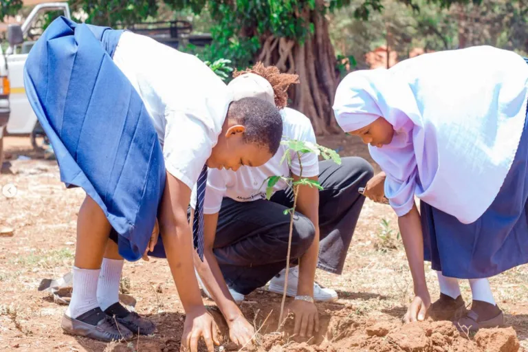 Tanzania Sustainable Tourism