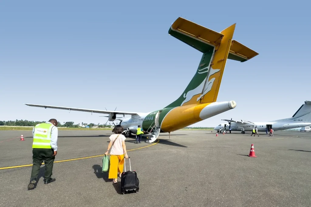 Flights to Tanzania