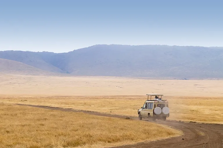 Ngorongoro Safari Tours