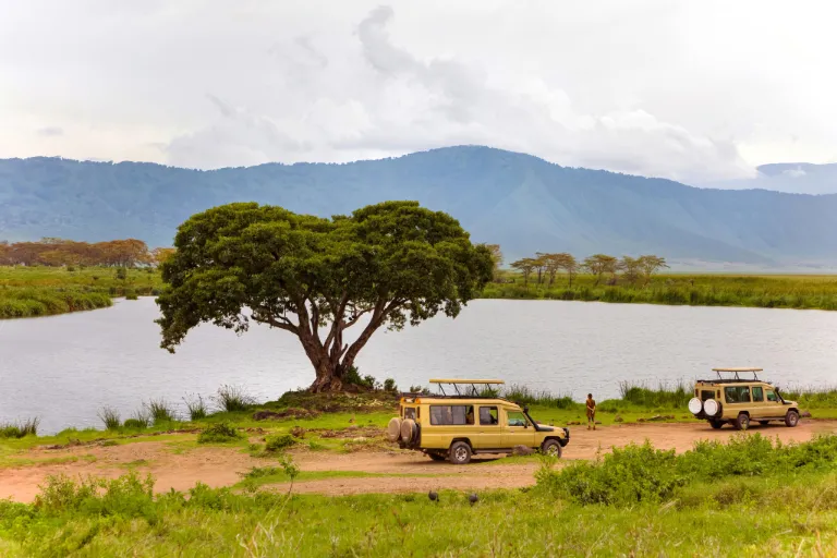 Ngorongoro Safari