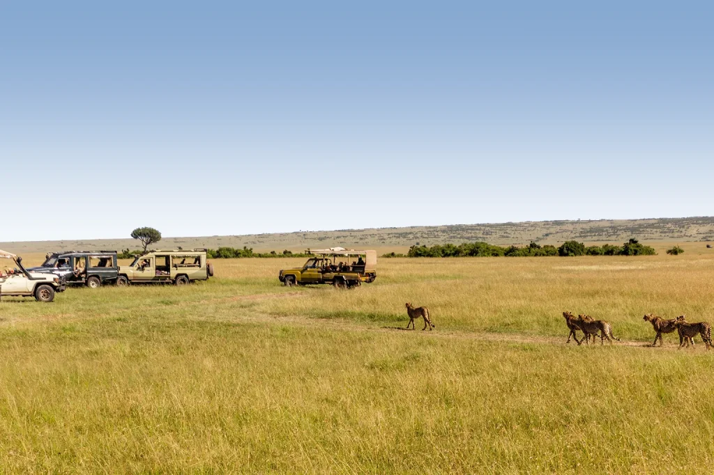 Tanzania Safari Cost Tanzania Safari Cost