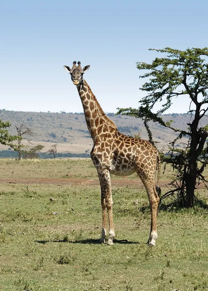 Lake Manyara Activities