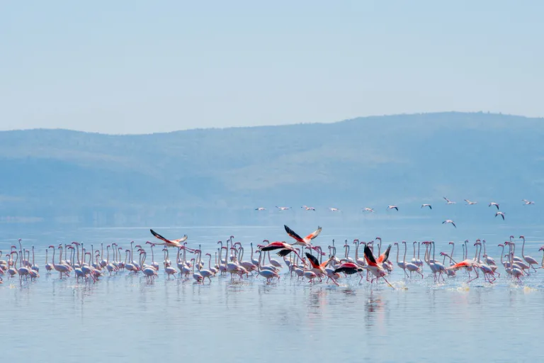 Lake Manyara National Park Map Lake Manyara Safari