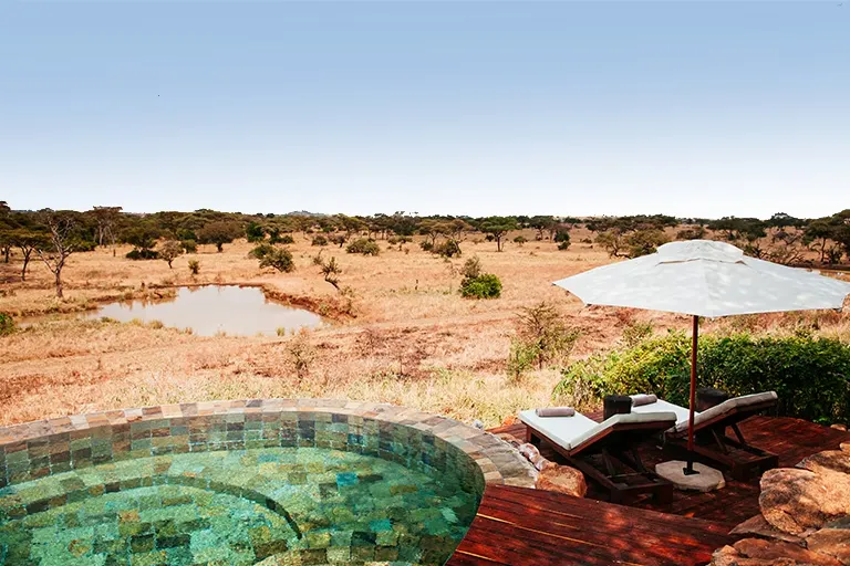 Tanzania Luxury Safaris