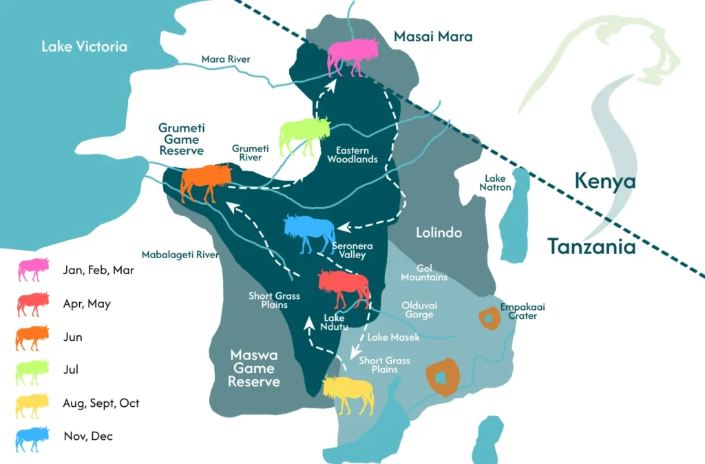Serengeti Migrations Map
