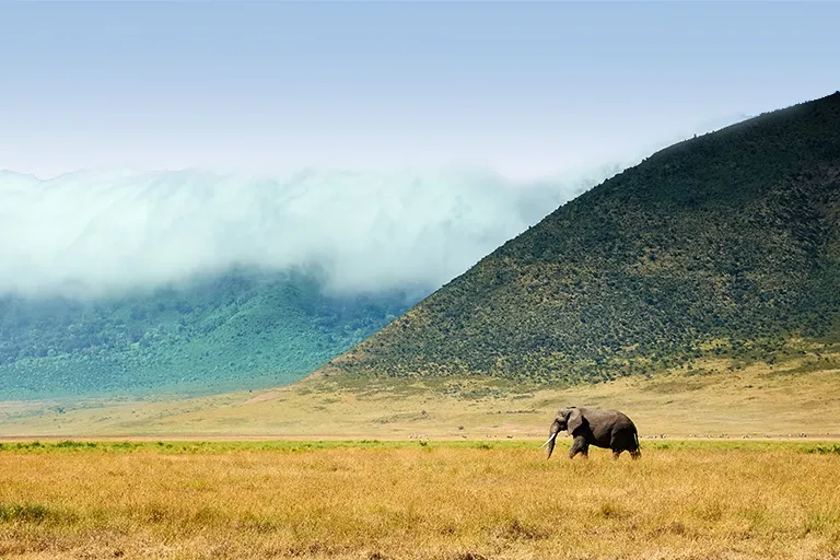 Ngorongoro Crater