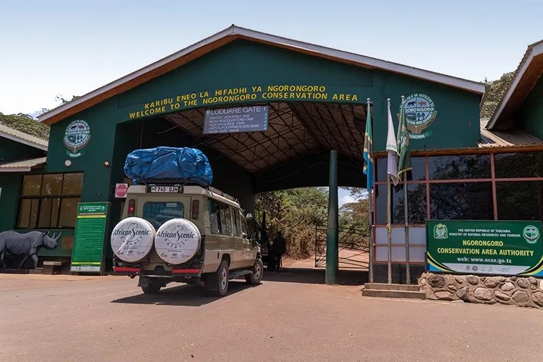 Ngorongoro Crater Safari