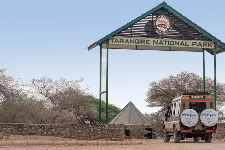 Tarangire Safari Package