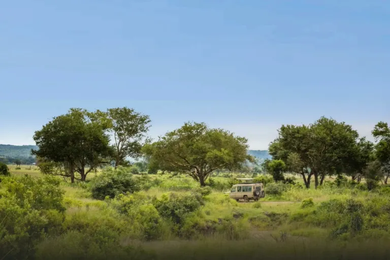 Tanzania Safari Packages – Stories Through Different Perspectives