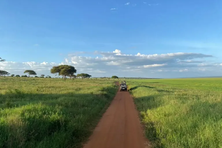 Tanzania Travel Trends 2025 – Best Safari Packages & Planning Tips