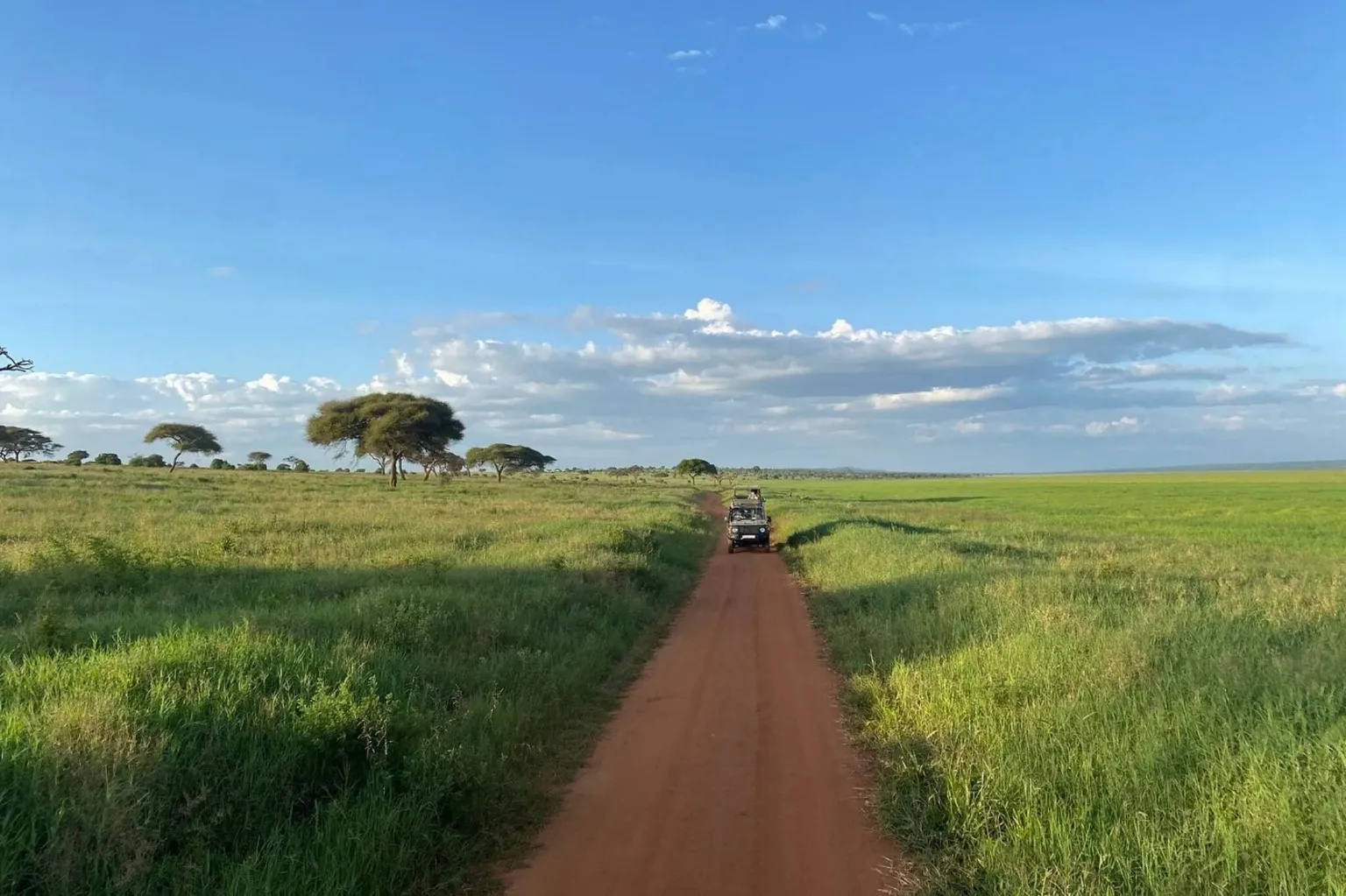 Tanzania Safari Packages