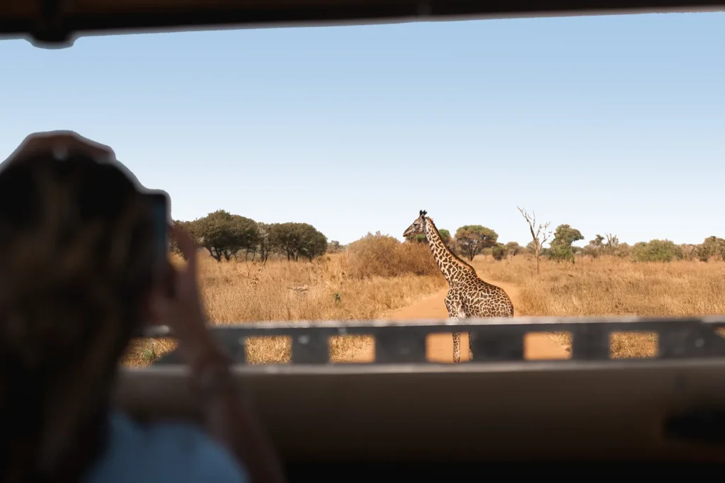 Tanzania Safari Tours