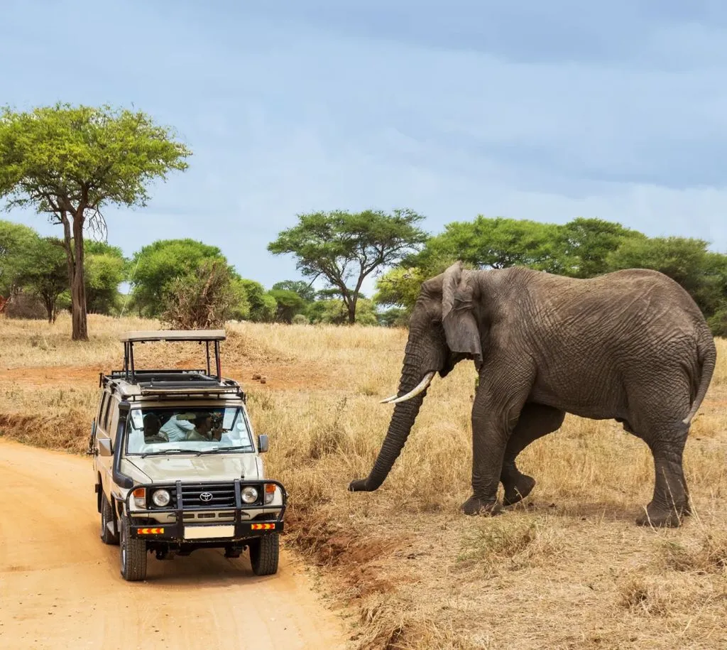 Things to Do in Tanzania
