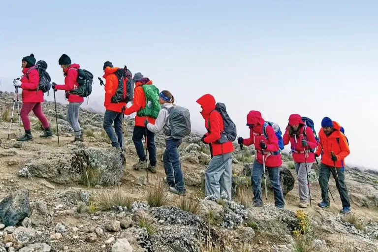 Things To Do In Kilimanjaro