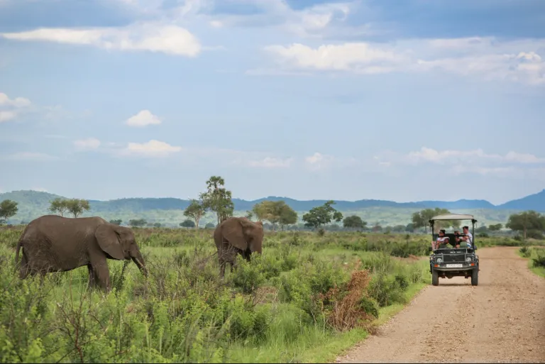 Things To Do In Tanzania