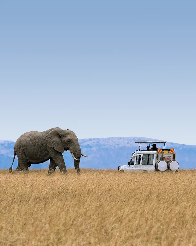 Getting Around Tanzania