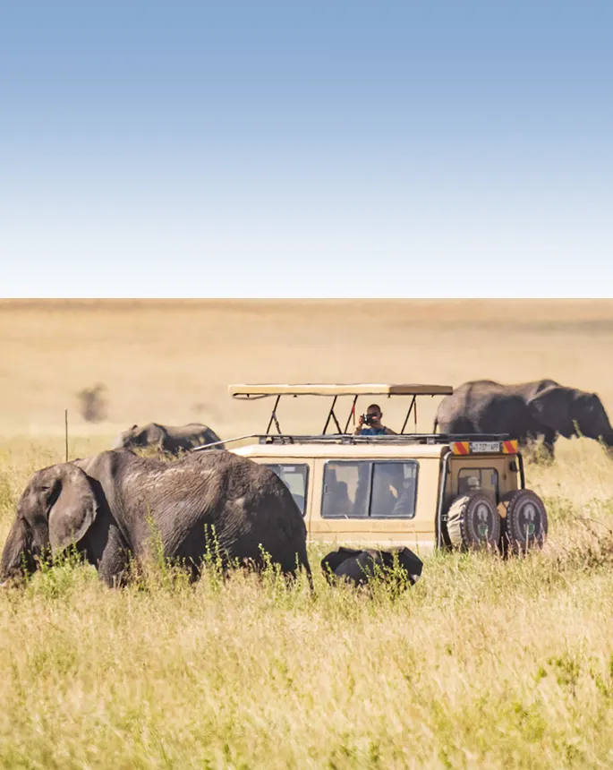 Getting Around Tanzania