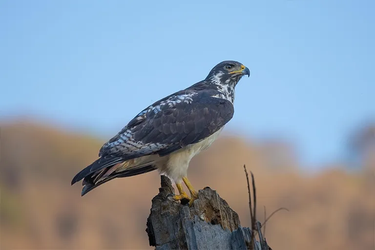 Lake Manyara National Park