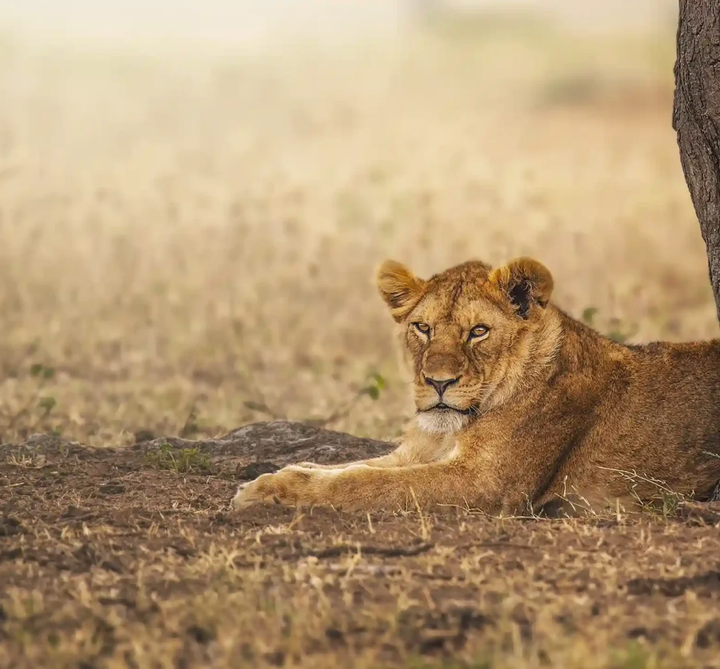 Arusha National Park