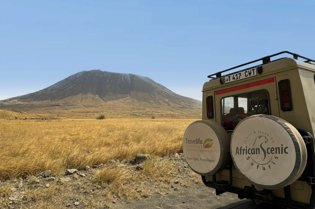 Best Of Tanzania Safari Best Of Tanzania Safari