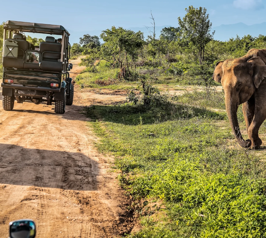Best Things To Do In Tanzania