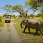 Best Time To Visit Tanzania