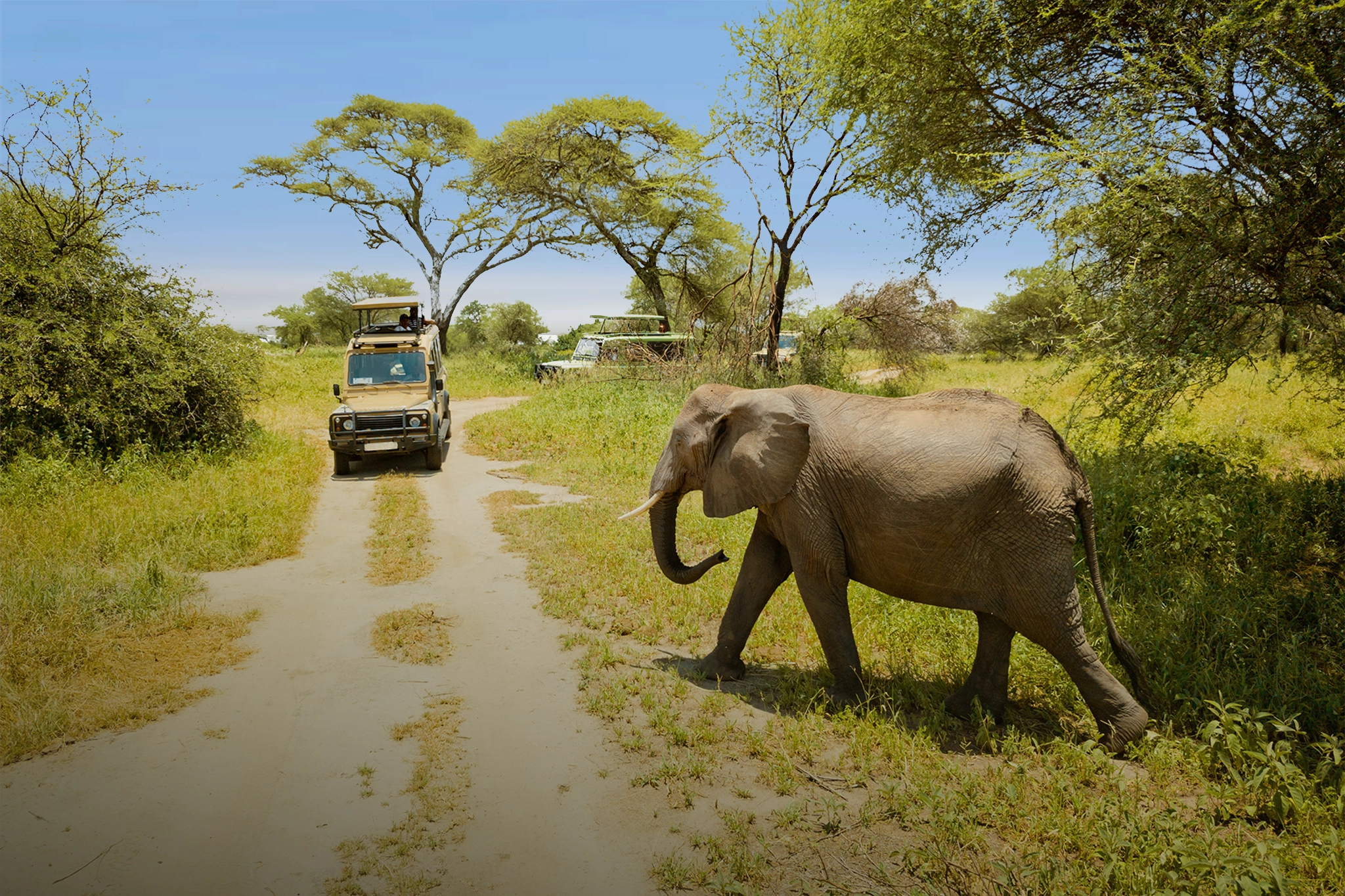 4 Reasons Why the Dry Season Is the Best Time to Visit Tanzania