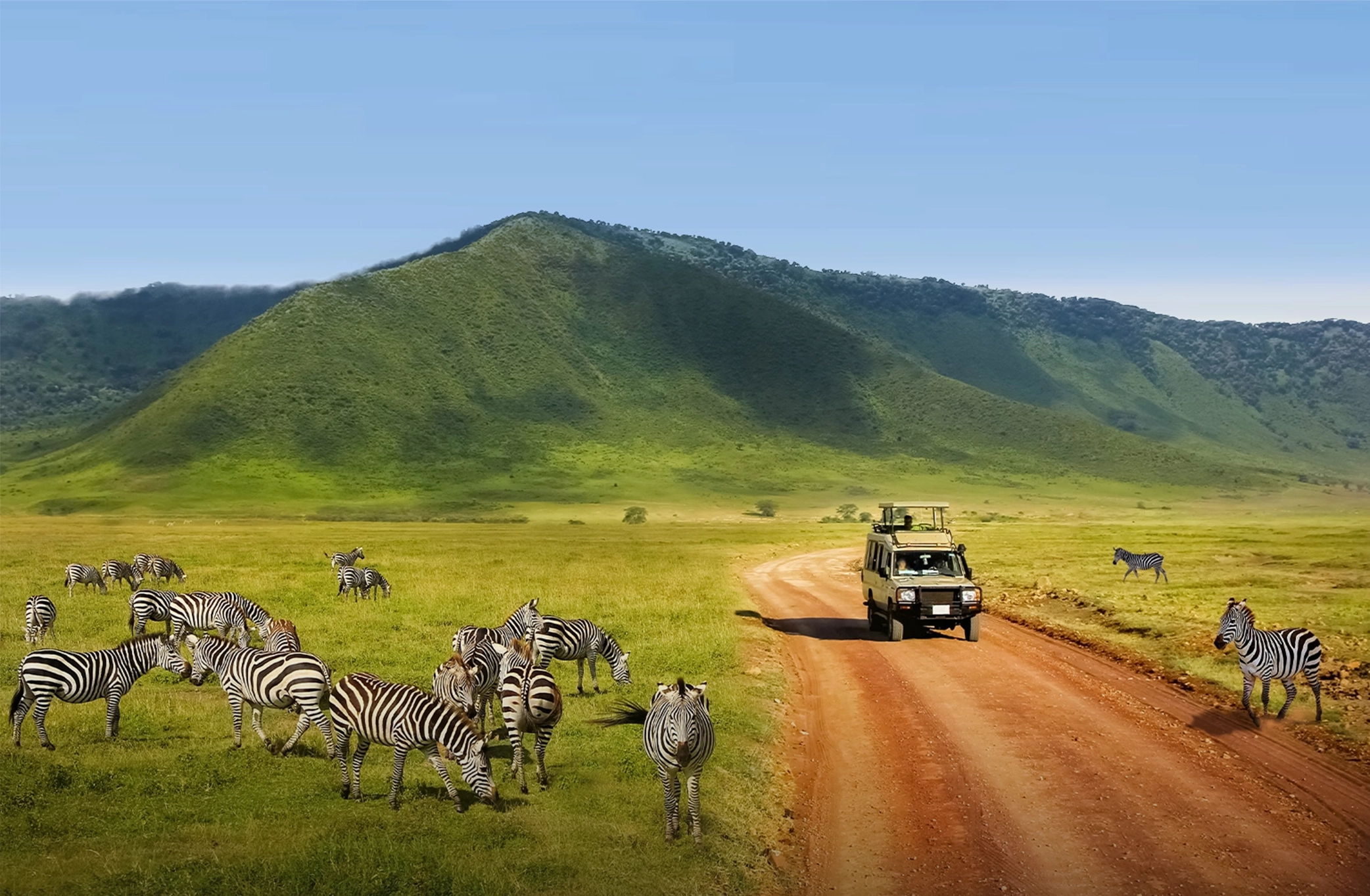 Best Time for Tanzania Safaris and Hiking – Seasonal Travel Insights