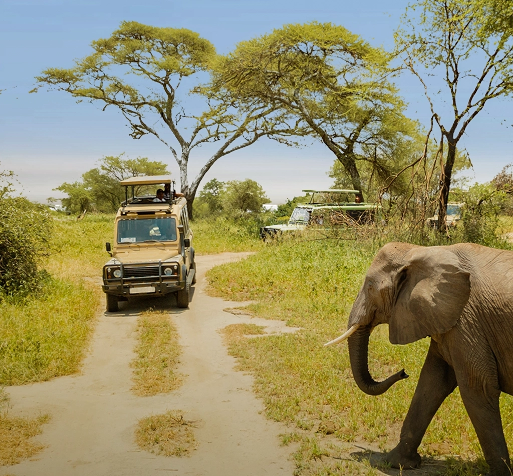 Best Time To Visit Tanzania