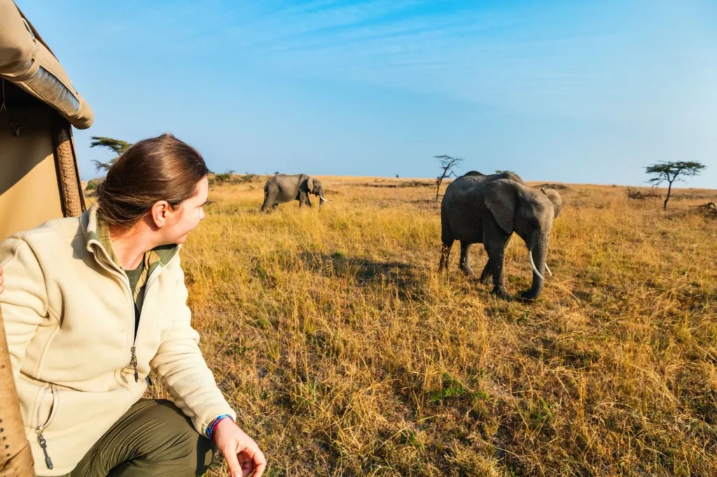 Additional Tanzania Safari Cost