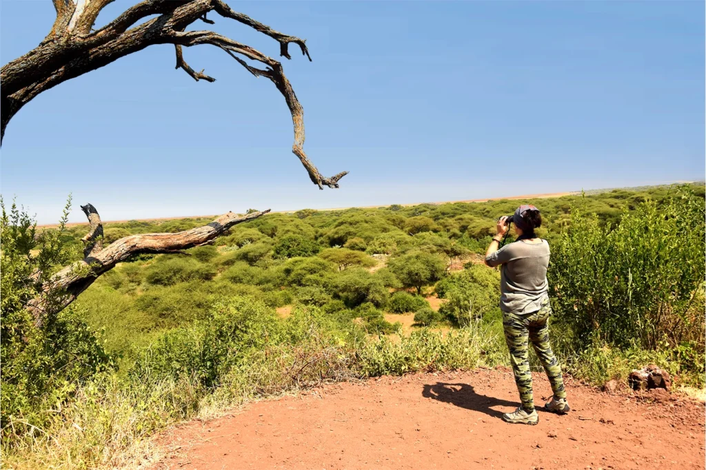How to Plan Tanzania Safari
