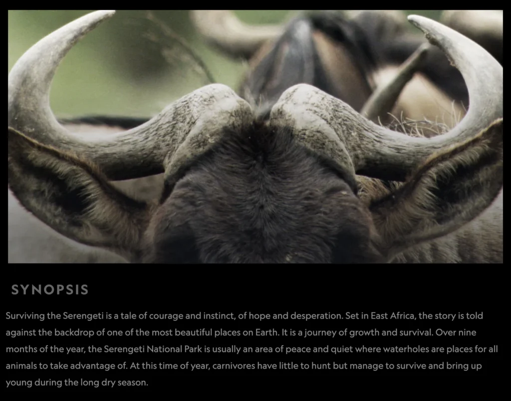 Serengeti Travel Updates