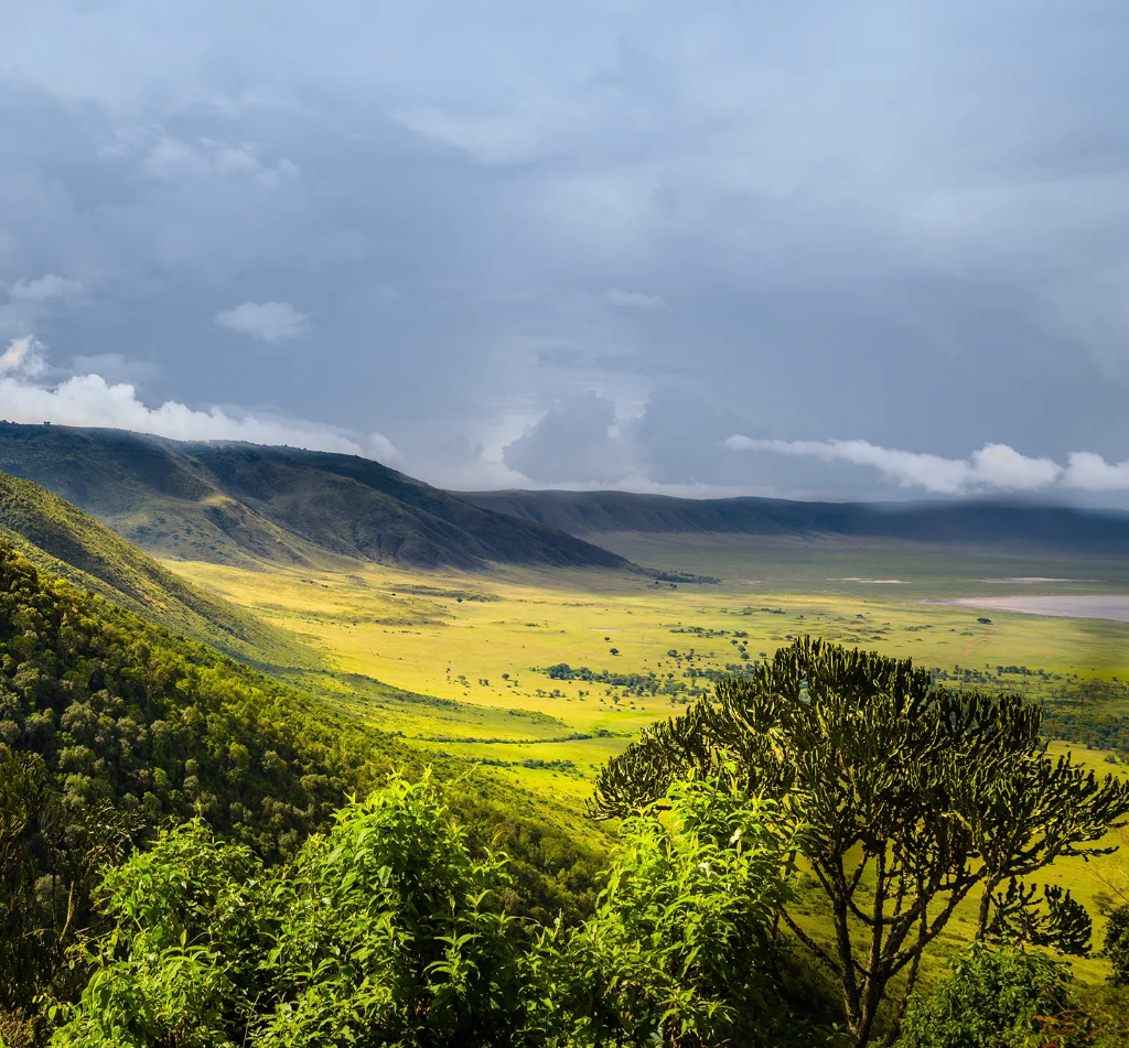 Ngorongoro Safari