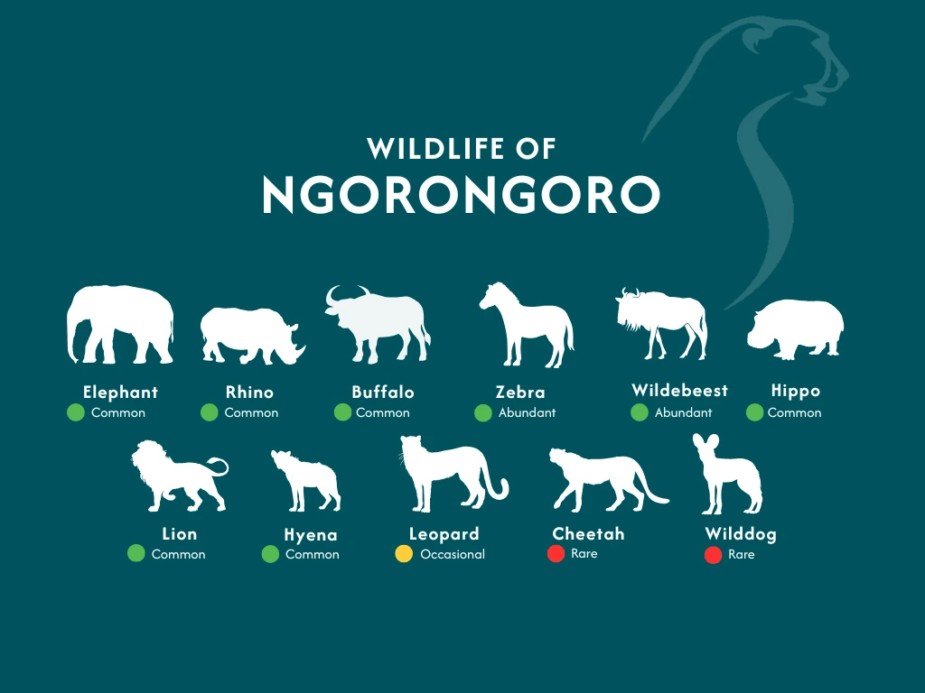 Ngorongoro Wildlife