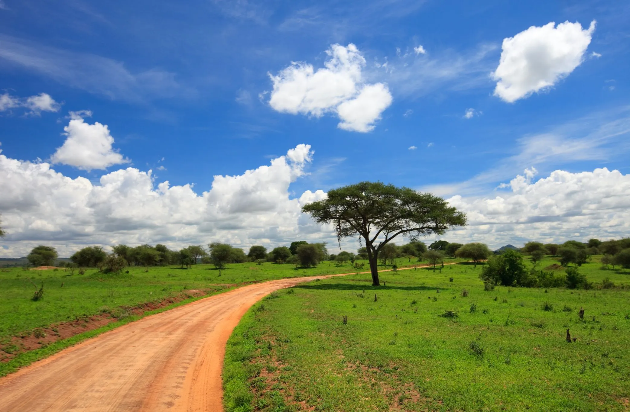 Tanzania Safari Cost – 2025 Year-End Budget For Savvy Travellers