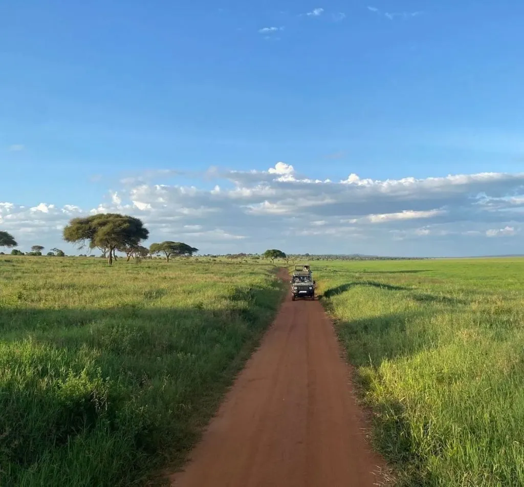 Tanzania Safaris