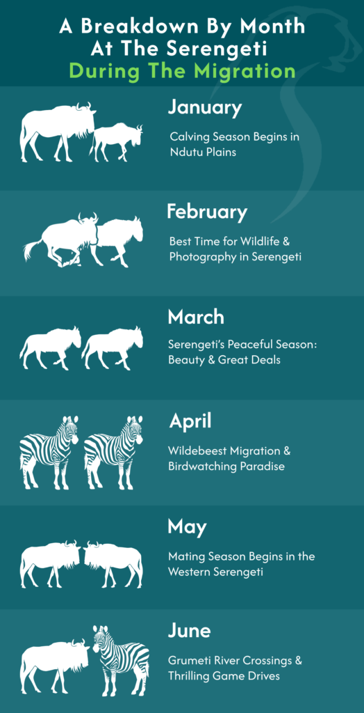 Serengeti Migrations