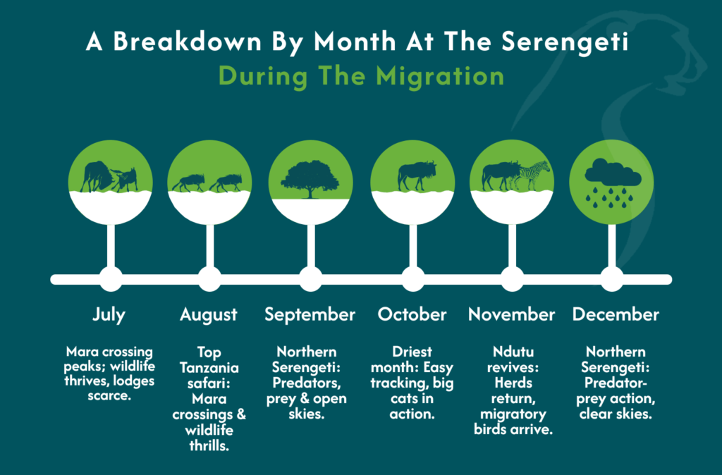 Serengeti Migrations