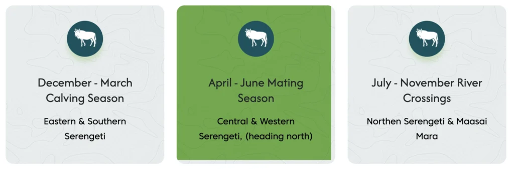 Serengeti Migration Season