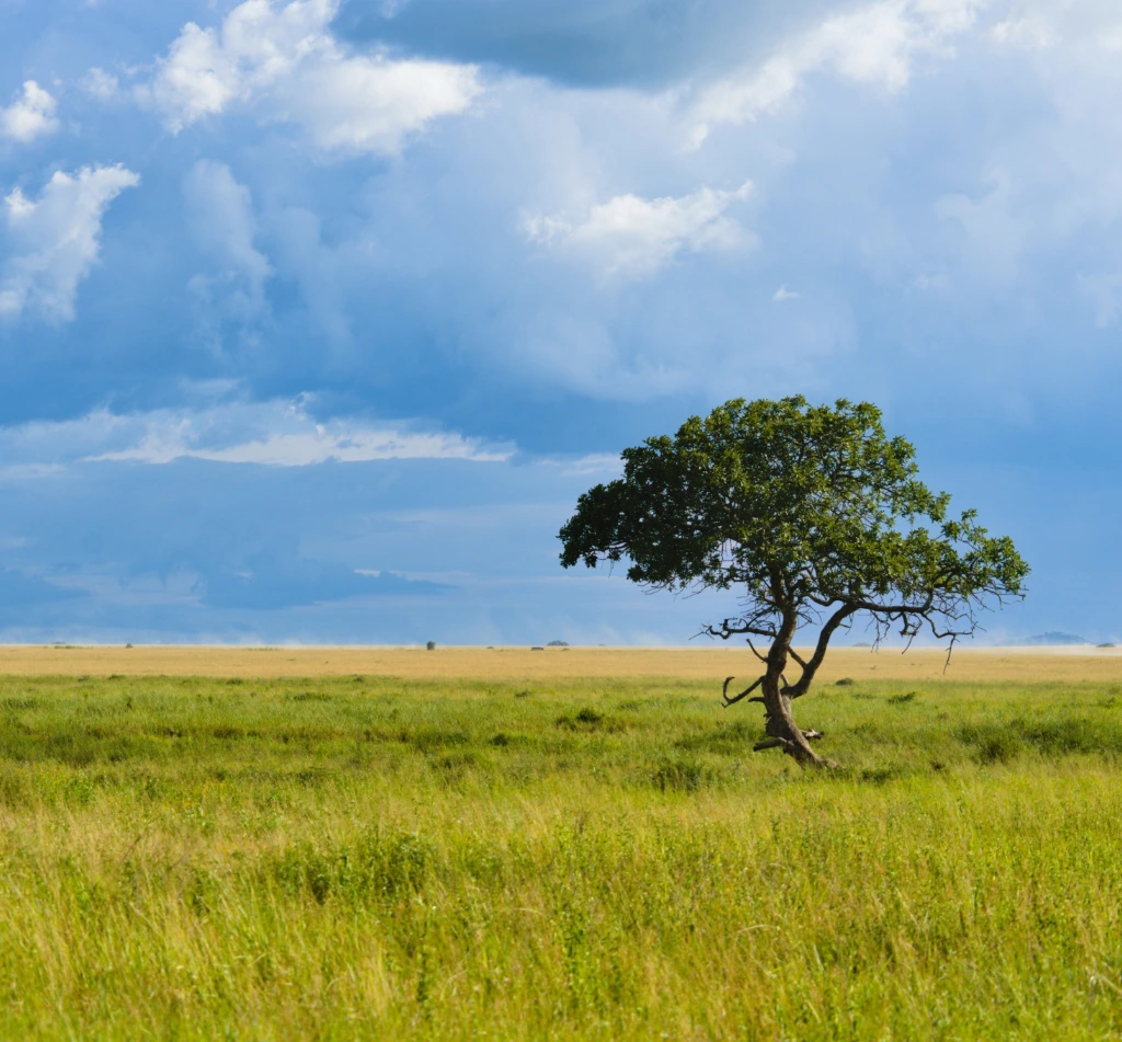 Serengeti Safari Itinerary