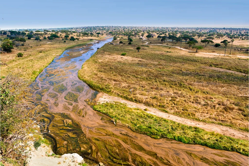 Best Month To Visit Tanzania